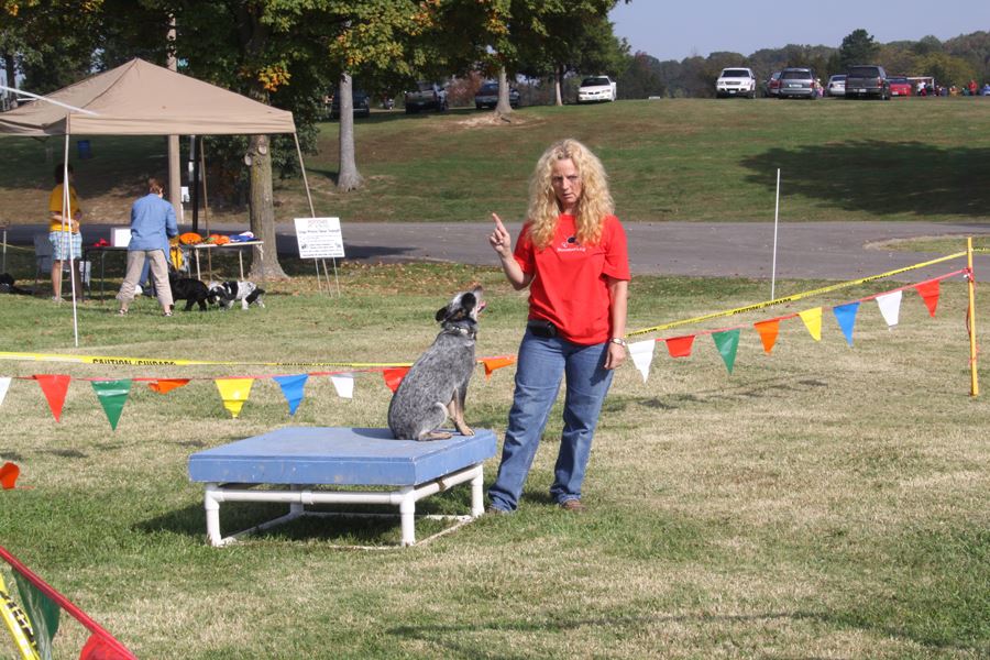 Woman Doing Dog Demonstration