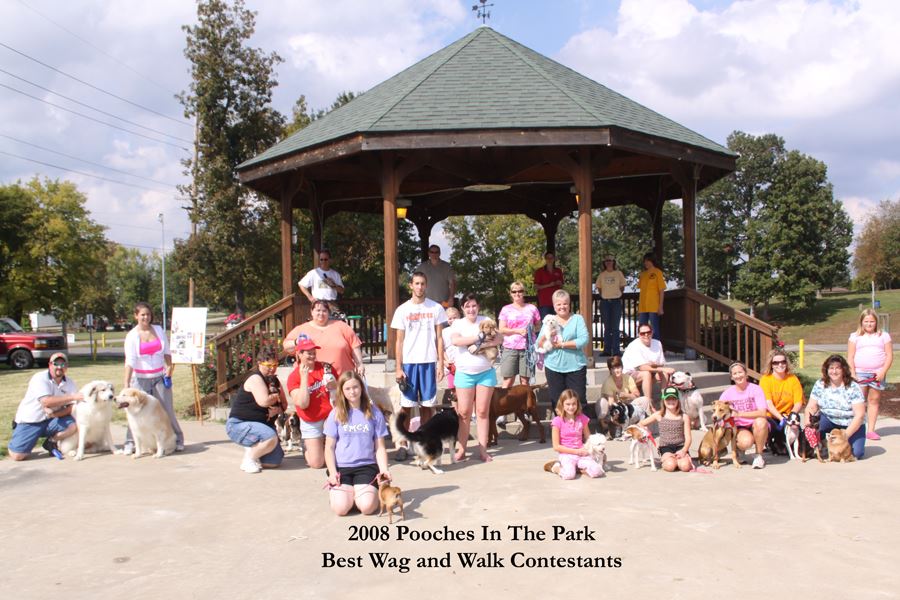 Best Wag and Walk Contestants