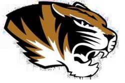 Festus Tiger Logo