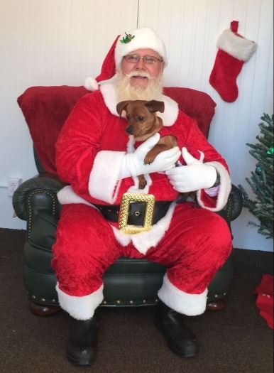 Santa holding small brown dog in his lap